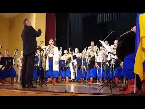 Kadr z filmu Koncert Narodowej Kapeli Bandurzystów z Kijowa w Chojnowie
