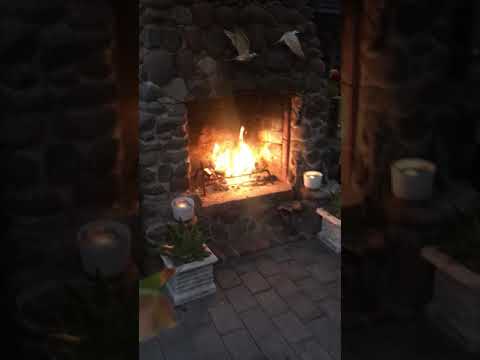 Video realizado por la propiedad