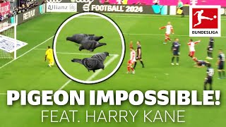 Does Agent Pigeon Help Harry Kane Score?