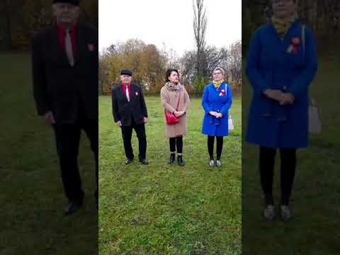 Dzień Niepodległości