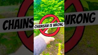 SAVE BIG on Mini Chainsaw - Milwaukee M12 Hatchet Limited Time Sale