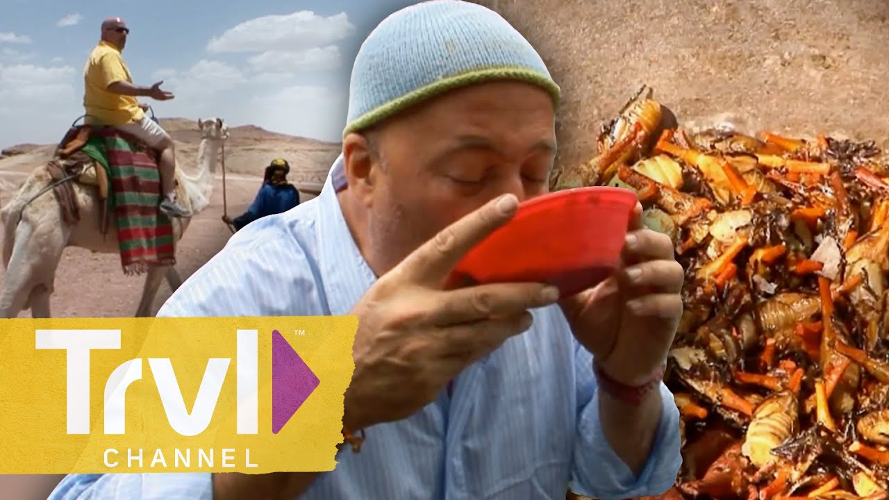 🔴 WATCH NOW: Exploring Africa | Bizarre Foods with Andrew Zimmern | Travel Channel
