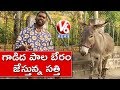 Bithiri Sathi sells donkey milk; Teenmaar News