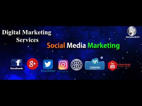 video Shinescript | Digital Marketing Company In Pune