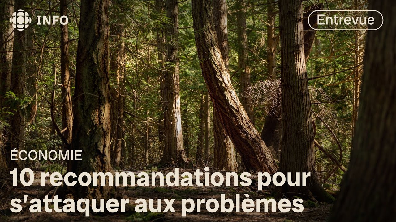 Repenser l'exploitation forestière en C.-B.