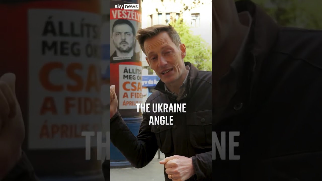 Hungary election: What you need to know