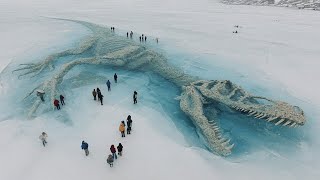 «Замороженный дракон» найден в Канаде спустя 76 миллионов лет