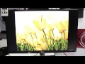 Обзор монитора LG IPS237L