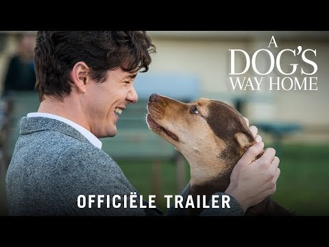 A Dog's Way Home'