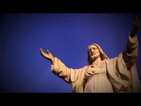 Bad Habits, Holy Orders'