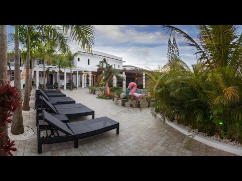 Property video