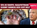 US Tariffs On India | Nagapattinam Shrimp Farmers Seek Govt Help Amid Concerns Due To US Tariff