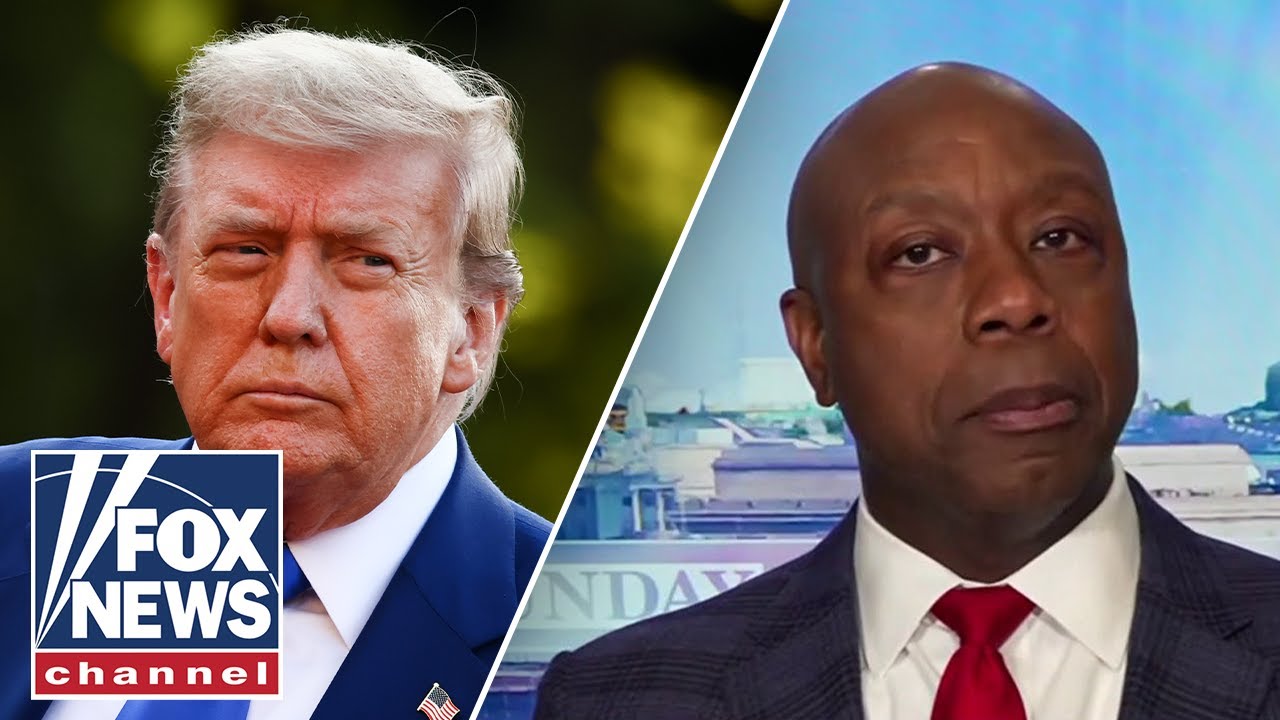 'HOGWASH': Tim Scott slams accusation against Trump