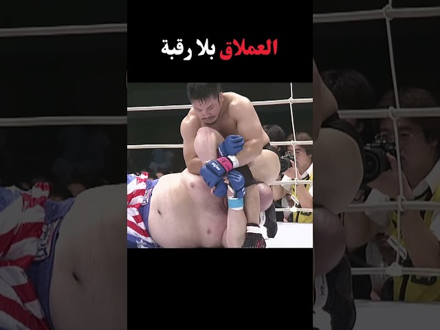 العملاق بلا رقبة.. #ufc #mma #boxing