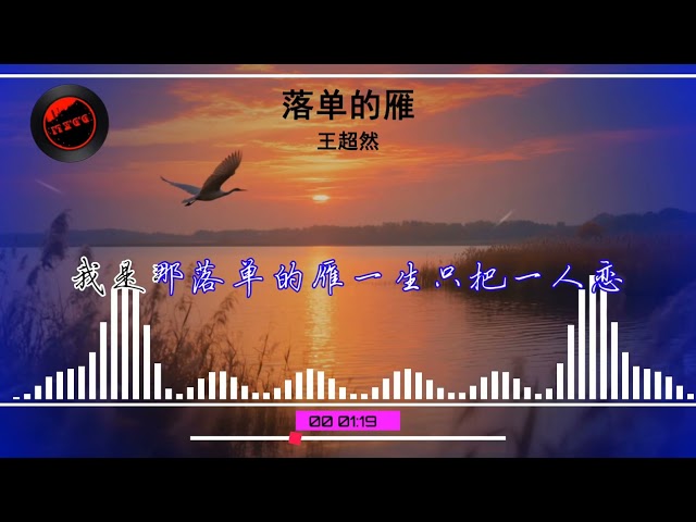 2025華語網絡流行音樂 ||《落單的雁》|| 王超然 || 動態歌詞