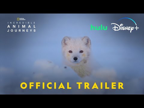 Incredible Animal Journeys'