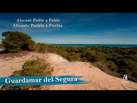 Video realizado por la propiedad