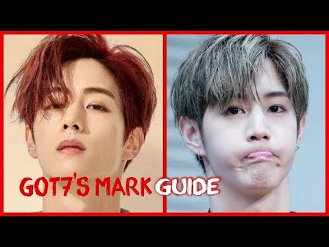 A GUIDE TO GOT7'S MARK
