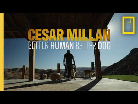 Cesar Millan: Better Human, Better Dog'