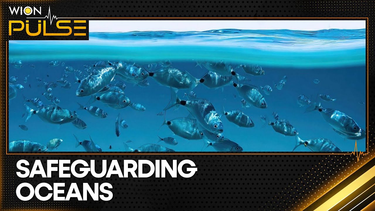 UN Secretary-General António Guterres Warns That Ocean Beds Are Becoming the 'Wild West | WION pulse