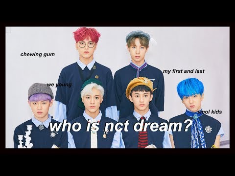 an (un)helpful guide to NCT Dream #1yearwithNCTDream