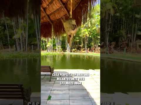 Video realizado por la propiedad