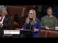 House GOP passes Trumps big, beautiful bill, but it faces uncertain future in Senate  - 07:01 min - News - Video