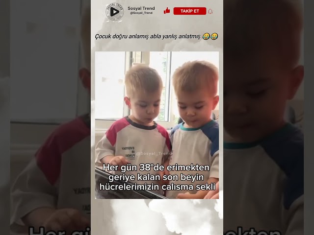 Çocuk doğru anlamış abla yanlış anlatmış 😂😂 #ikibebekbirkedili #shorts #komikvideolar #manifest
