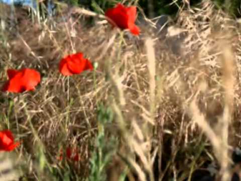 Vidéo de l’hébergement