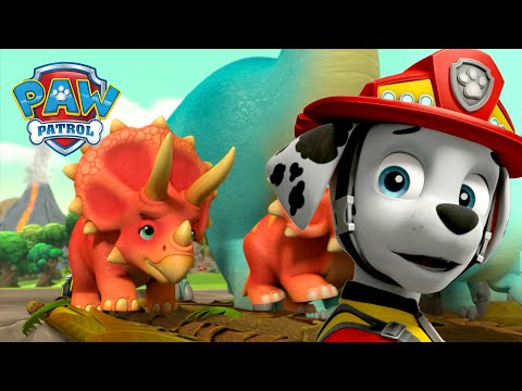 Pups retten wilde Dinos vor einem Vulkanausbruch und mehr! - PAW Patrol Germany Cartoons für Kinder
