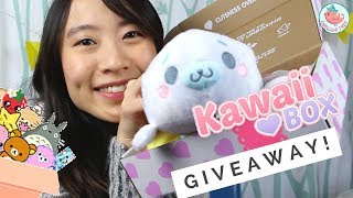 Kawaii Box Unboxing