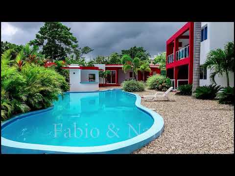 Property video