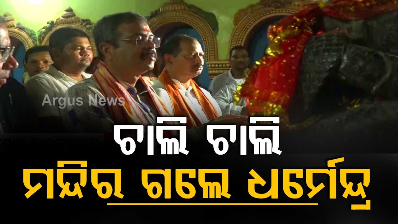 MP Dharmendra Pradhan's Padyatra in Pallahara | Visits Jagannath Temple on Foot | Argus News