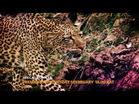 Africa's Hunters'