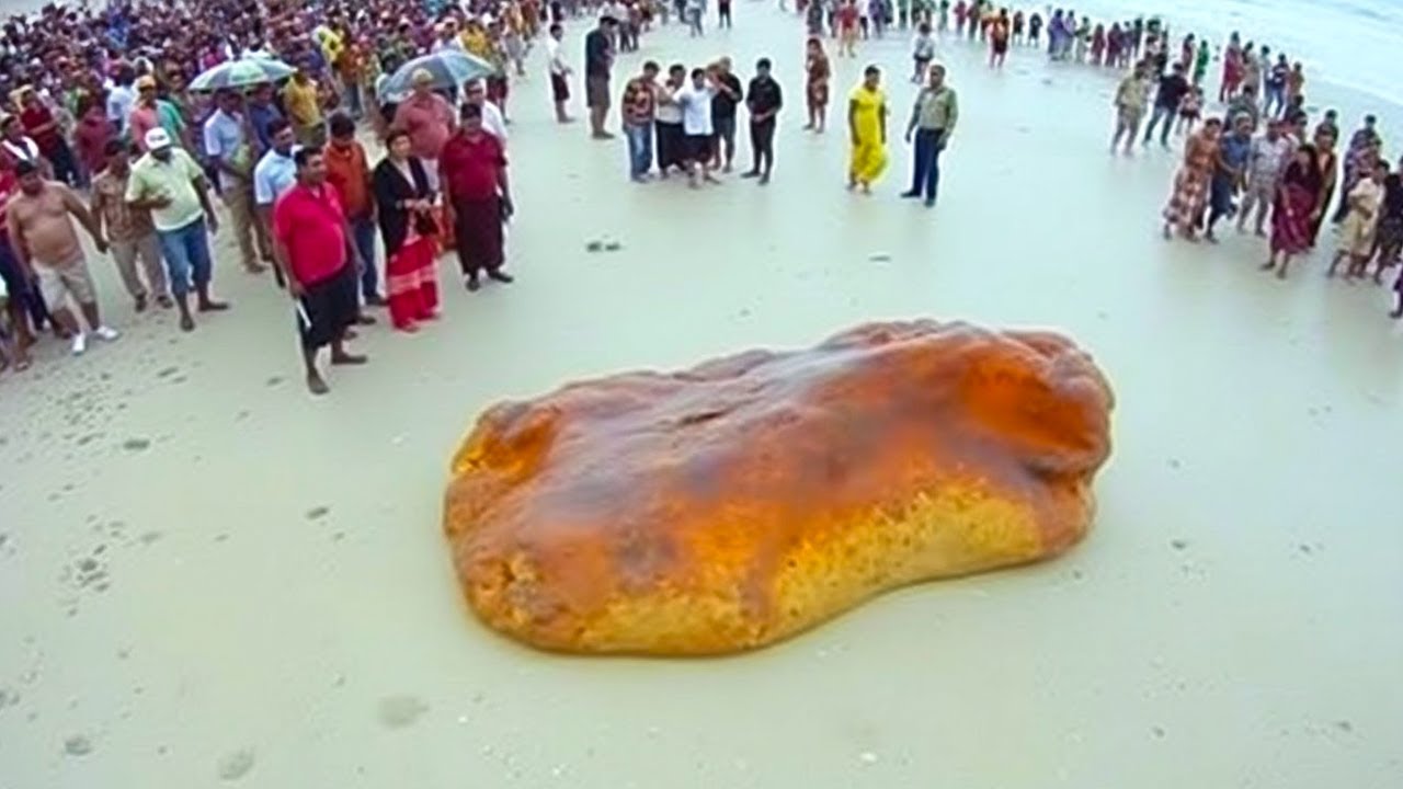 This Strange Thing Washed Ashore and Earned Its Finder $3 Million