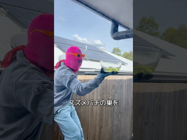蜂の巣を取り除くユニークな方法