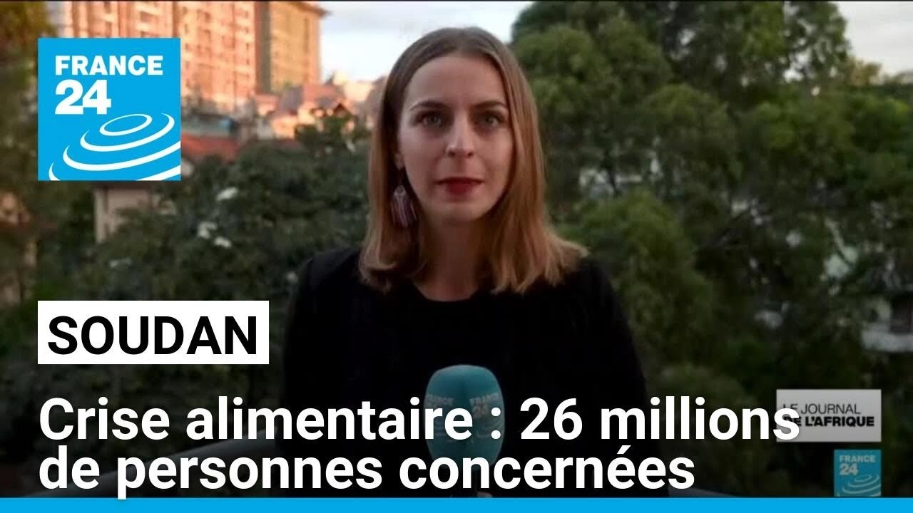 Soudan : grave crise alimentaire, 26 millions de personnes concernées • FRANCE 24