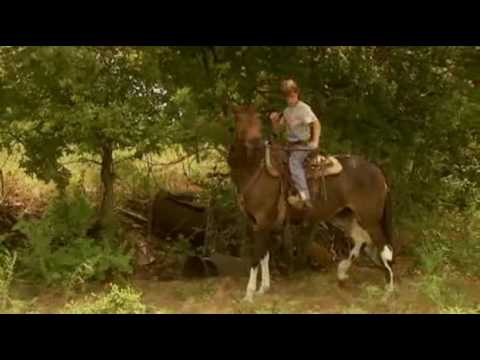 Tommy and the Cool Mule'