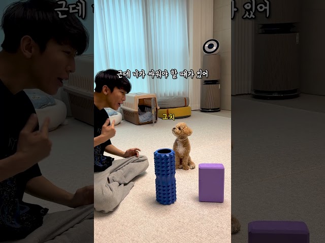 시각장애인 아빠에게 싸움 신기술 배우는 강아지 #시트콤