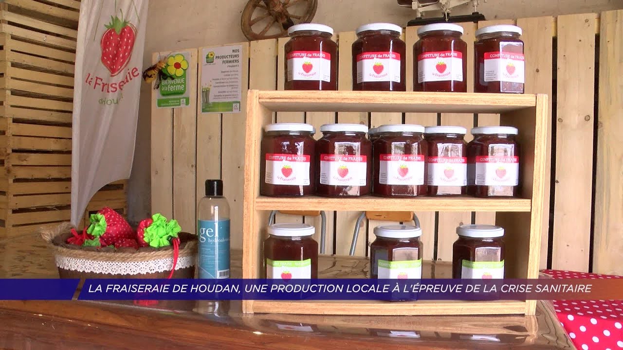 Yvelines | La fraiseraie de Houdan, une production locale à l’épreuve de la crise sanitaire