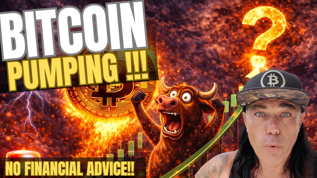 BITCOIN PUMPING, WHAT’S NEXT?