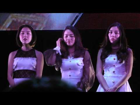 150822 Ladies' Code Memorial concert ③