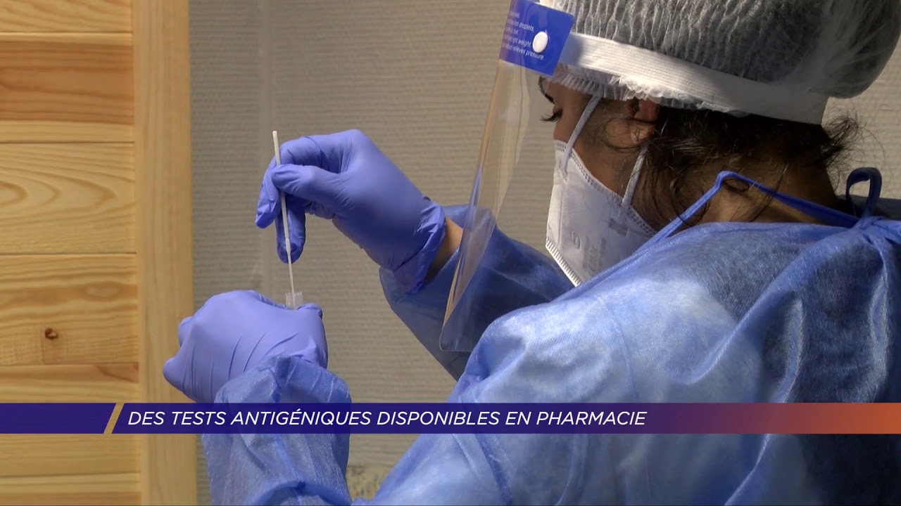 Yvelines | Des tests antigéniques disponibles en pharmacie
