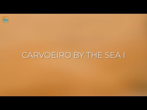 Video realizado por la propiedad