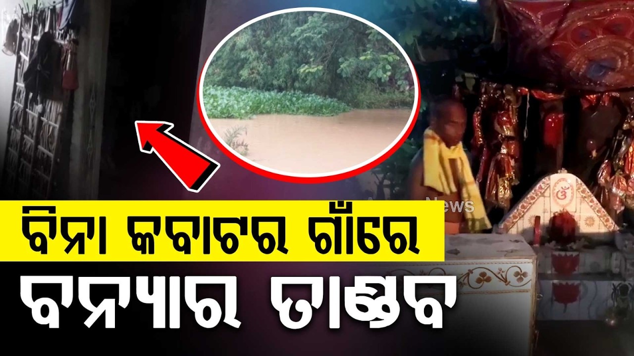 Unique Village In Bhadrak Living Without Doors Amidst Baitarani Flood Devastation | Argus News