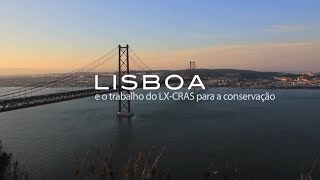 Fauna Selvagem Em Lisboa