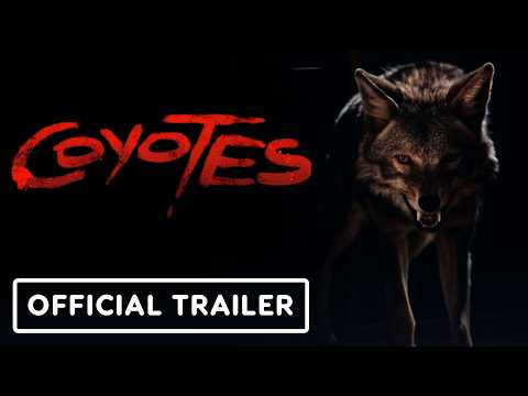 Coyotes'