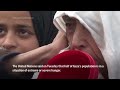 Gaza food kitchen feeds hundreds of Palestinians in need  - 01:36 min - News - Video
