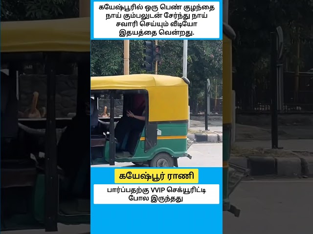 Queen of Dogeshpur:Girl Spotted Riding Dog Along with the Gang #shorts