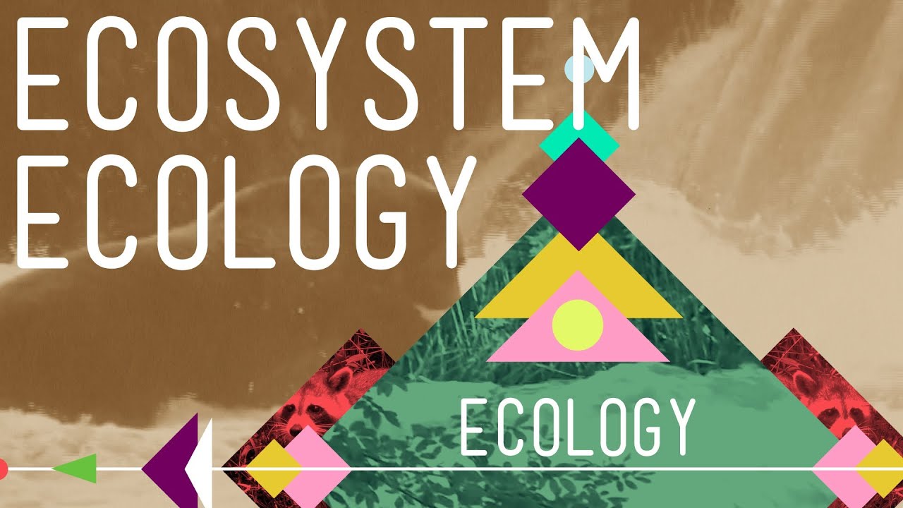 population-ecology-graphs-worksheet-answers